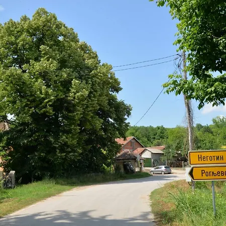 Dunjin * Rogljevo