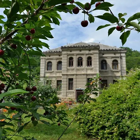 Country house Dunjin *