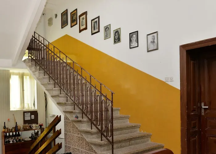 Kır Evi Dunjin Rogljevo